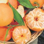 Zašto treba jesti mandarine: Ovo preukusno voće koje ima brojna dobrotvorna svojstva