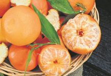 Zašto treba jesti mandarine: Ovo preukusno voće koje ima brojna dobrotvorna svojstva