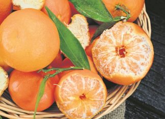 Zašto treba jesti mandarine: Ovo preukusno voće koje ima brojna dobrotvorna svojstva