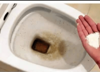 Zaboravite OCAT: Ovaj puder iz kuhinje čisti toalet za par minuta – bez kamenca, žutih mrlja i mirisa!