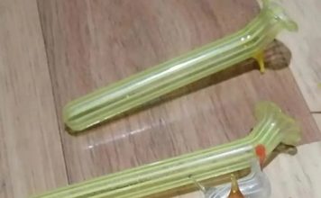 Našla sam ovo u bakinim kuhinjskim ormarićima — bila sam iznenađena kada sam saznala šta je to.