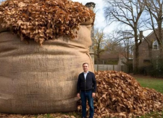 NIKAD ne bacaj jesensko lišće! EVO ZAŠTO