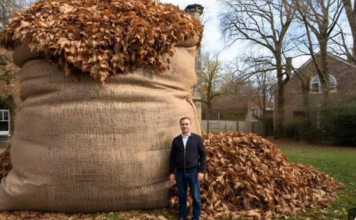 NIKAD ne bacaj jesensko lišće! EVO ZAŠTO
