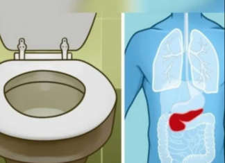 6 ZNAK0VA DA JE GUŠTERAČA U VELlK0J 0PASN0STI