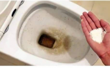 Zaboravite OCAT: Ovaj puder iz kuhinje čisti toalet za par minuta – bez kamenca, žutih mrlja i mirisa!