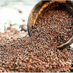 Drevni čuvar zdravlja: Ovo moćno seme sprečava rak, čisti krvotok, štiti srce i pluća i jača imunitet do maksimuma!