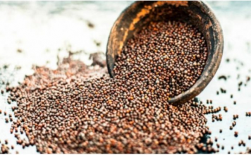 Drevni čuvar zdravlja: Ovo moćno seme sprečava rak, čisti krvotok, štiti srce i pluća i jača imunitet do maksimuma!