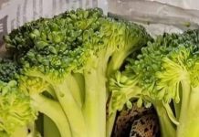 On je samo htio pripremiti večeru — ali ono što je pronašao unutar brokule šokiralo ga je i natjeralo da traži objašnjenja