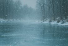 Dječak je propao kroz led, ali u blizini je bio pas lutalica i izvukao ga je za jaknu