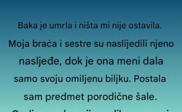 “Biljka koja je otkrila prošlost: Baka je znala više nego što sam mislio”