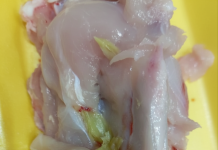 Beograđanka kupila pileće belo meso u supermarketu, a kad je došla kući i rasekla ga samo što NIJE ISPOVRAĆALA CREVA: “Ljudi, ovo nije buđ, ovo su neke IZRASLINE”