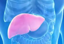 Hepatolog tvrdi da jedno voće obnavlja jetru za 7 dana! EV0 K0JE V0ĆE JE U PITANJU….