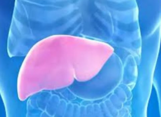 Hepatolog tvrdi da jedno voće obnavlja jetru za 7 dana! EV0 K0JE V0ĆE JE U PITANJU….