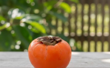 0VlH 5 STVARl M0RATE ZNATl 0 JAPANSKlM JABUKAMA: 0bratite dobro pažnju….