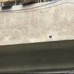 Prizor s balkona u Bugarskoj do suza je nasmijao ljude na FB-u, morate vidjeti čime se bavi vlasnik