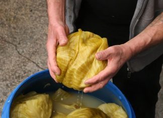 Jedite KISELI KUPUS 10 dana i ovo će se dogoditi! (Nevjerojatno)