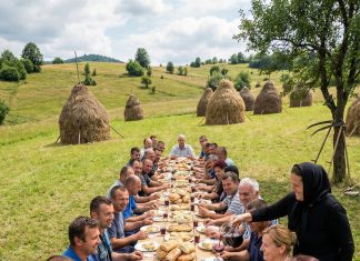 Udovica je noću krišom krenula da kosi livadu jer nije imala novca za radnike, a ujutru je zatekla prizor koji ju je bacio na kolena