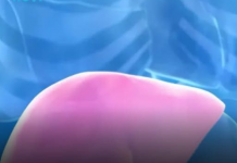 Hepatolog tvrdi da jedno voće obnavlja jetru za 7 dana, a sve zbog ovog enzima