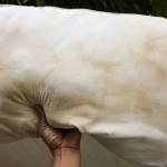 Nikada se ne bi sjetili: Sve fleke sa odjeće skida jedno sredstvo koje svi imamo u kući