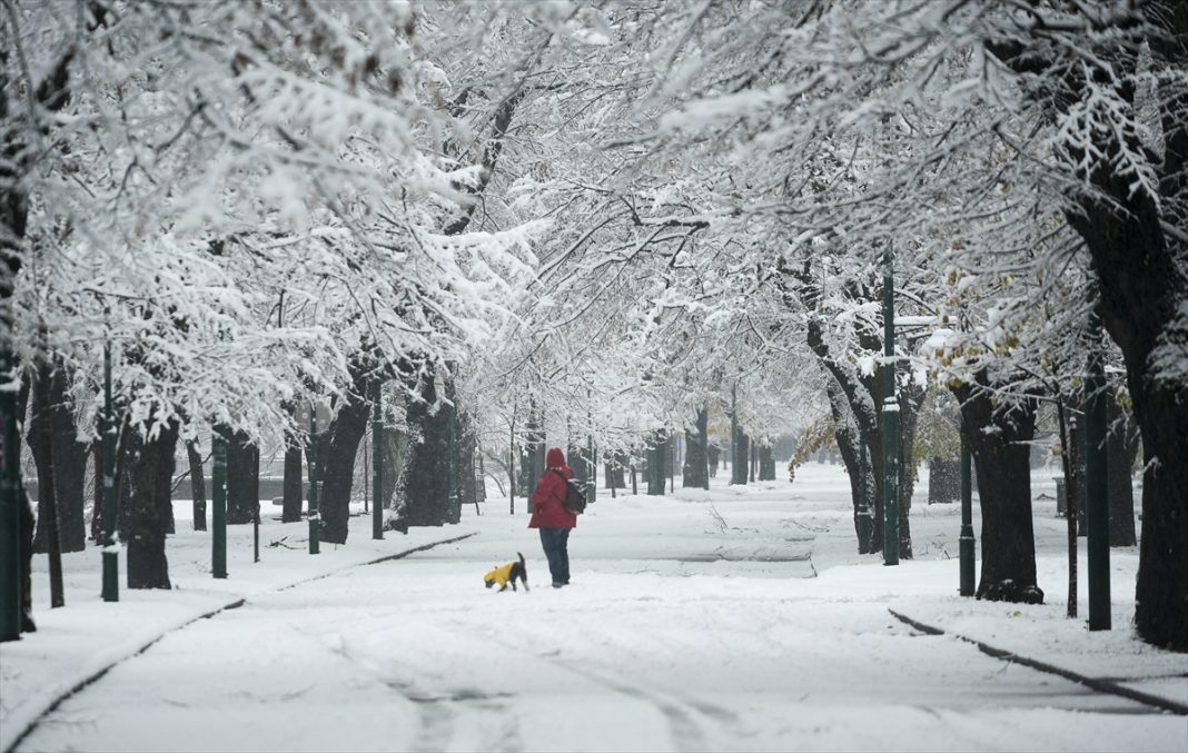 snijeg-priroda-sarajevo-5-1763821345