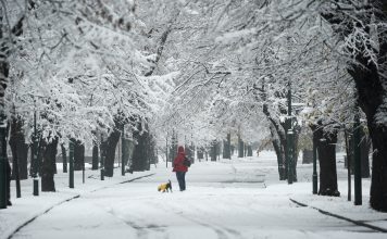 Snijeg i kiša stižu u BiH: Provjerite kada i gdje će zima udariti najjače