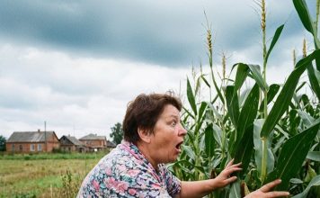 Došavši kod svekrve na vikendicu po uputstvu muža da okopa vrt, Ženja je zatekla da nije tu. A odlučivši da ode do komšija, POCRVENELA je od onoga što je videla… 😲😲😲