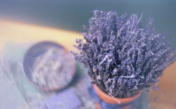 Prema Feng Šuiu ako stavite lavandu na ovo mesto u kući sva negativna energija nestaje kao rukom odnešena