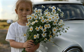Prišla je svadbenim kolima mala djevojčica s buketom kamilica … Ali mlada slučajno primeti jednu ČUDNU DETALJU u njenoj kosi i nije mogla da veruje svojim očima… 😲😲😲