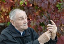 Nikad veću sramotu nisam osetila nego kad je svekar uradio ovo: Kad smo našli njegov dnevnik u staroj komodi, preplakala sam čitavu noć u kuhinji