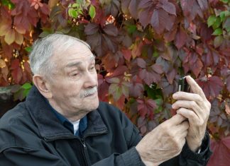 Nikad veću sramotu nisam osetila nego kad je svekar uradio ovo: Kad smo našli njegov dnevnik u staroj komodi, preplakala sam čitavu noć u kuhinji