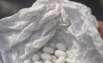 Pronašla sam čudne bijele kuglice u ruksaku svog 15-godišnjeg sina: on kaže da su to samo bomboni, ali mu ne vjerujem 😕