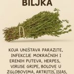 RECEPT ZA PRIRODNO LJEKOVITO ULJE: Prirodni saveznik protiv infekcija