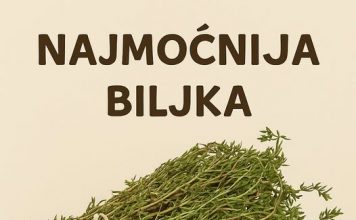 RECEPT ZA PRIRODNO LJEKOVITO ULJE: Prirodni saveznik protiv infekcija