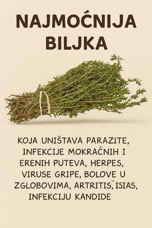 525176468_739134015533412_6218568500103772345_n (1)