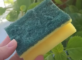 Od otpada do zlata: Nevjerovatna nova namjena starog sunđera! Ovo je trik koji je odusevio svijet”