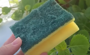 Od otpada do zlata: Nevjerovatna nova namjena starog sunđera! Ovo je trik koji je odusevio svijet”