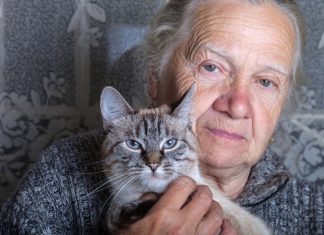 5 stvari koje nikada ne treba držati u kući: Crpe energiju i snagu, a da niste ni svesni