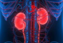 KADA SA BUBREZIMA NIJE SVE U REDU, TIJELO ŠALJE OVE SIGNALE: 6 simptoma koje ne smijete ignorisati!