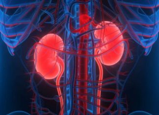 KADA SA BUBREZIMA NIJE SVE U REDU, TIJELO ŠALJE OVE SIGNALE: 6 simptoma koje ne smijete ignorisati!