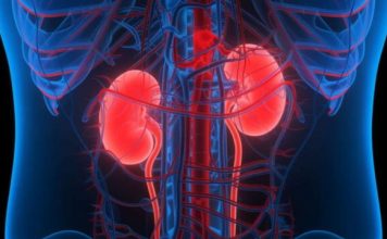 KADA SA BUBREZIMA NIJE SVE U REDU, TIJELO ŠALJE OVE SIGNALE: 6 simptoma koje ne smijete ignorisati!