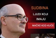 Otac Fortea otkrio: Sudbina onih koji imaju mačke kod kuće. …