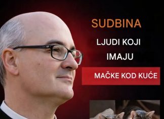 Otac Fortea otkrio: Sudbina onih koji imaju mačke kod kuće. …