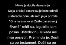 Tiho nestajanje: priča o majci, pamćenju i ljubavi