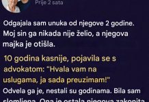 Oduzela mi je unuka nakon što sam ga ja podigla — godinama kasnije, vratio se potpuno promenjen