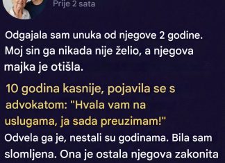Oduzela mi je unuka nakon što sam ga ja podigla — godinama kasnije, vratio se potpuno promenjen