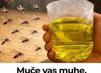 Korisni savjeti kako se riješiti muha i komaraca u kući