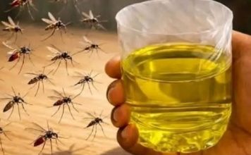 Korisni savjeti kako se riješiti muha i komaraca u kući