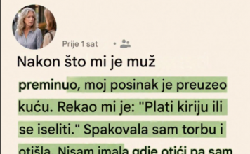 Dobrota se uvek vraća: Nakon muževe smrti pastorak me je izbacio na ulicu bez ičega, a onda je nepoznata žena koja me je pratila otkrila istinu