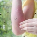 Sipajte OVO u čašu vode i komarci vam neće ulaziti u kuću: Napravite moćan alat za uživanje u ljetnim večerima! - featured image