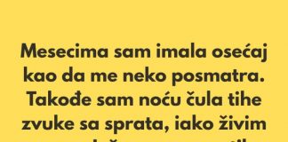 „Poslednjih nekoliko meseci imala sam osećaj kao da me neko posmatra.” - featured image